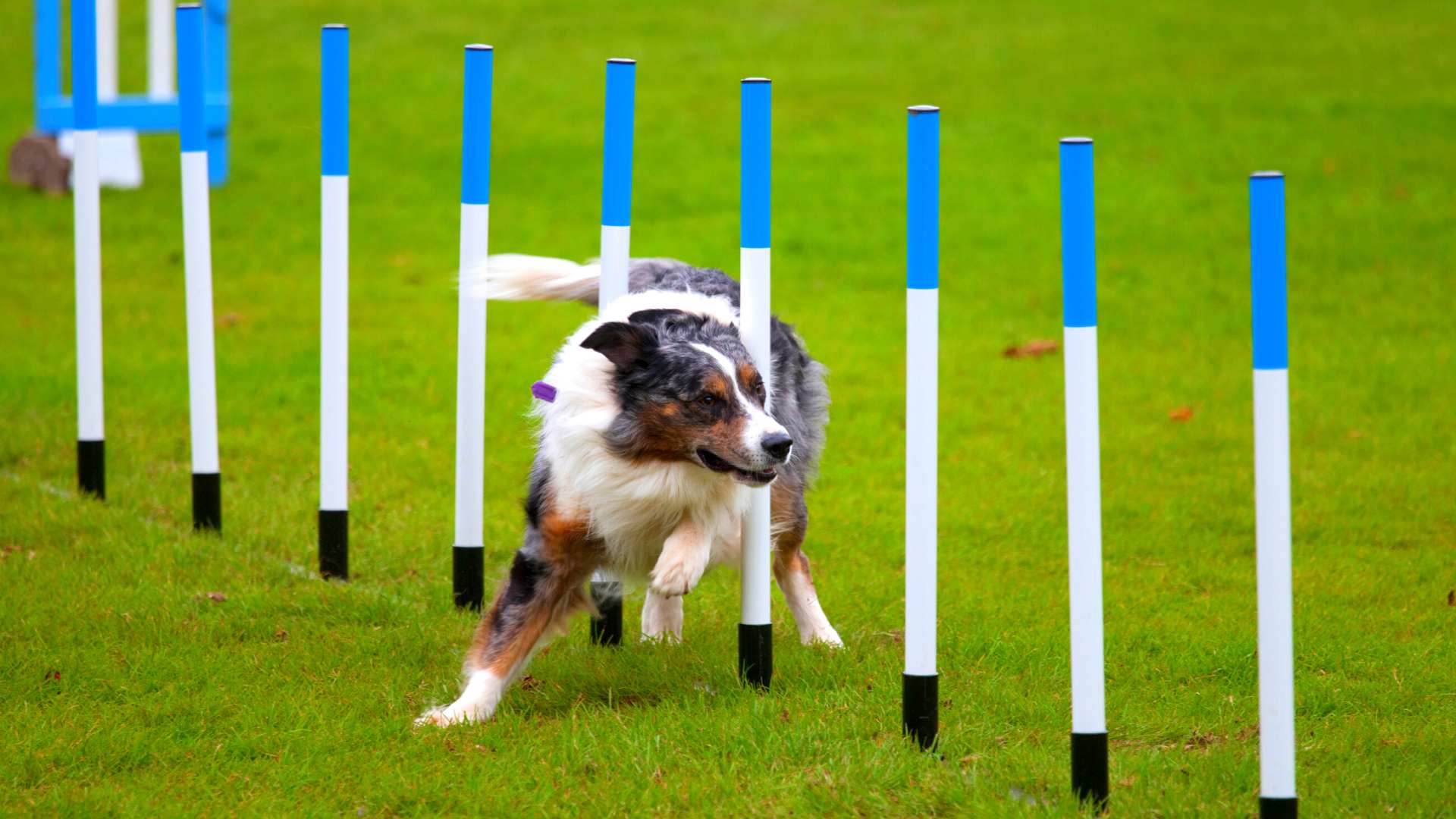 The 'duck and weave' portfolio to survive the ASX in 2023 on